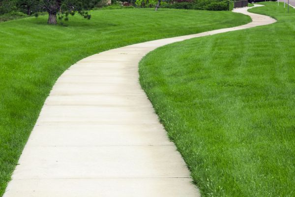 Cost of Pathway Replacement in Golden