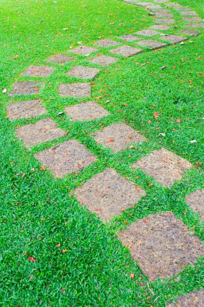 Backyard Pathway Construction in Golden